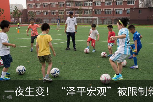 一夜生变！“泽平宏观”被限制新增关注，视频号暂时不受影响
