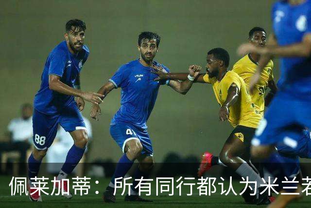 佩莱加蒂：所有同行都认为米兰若维持现有的阵容将会举步维艰