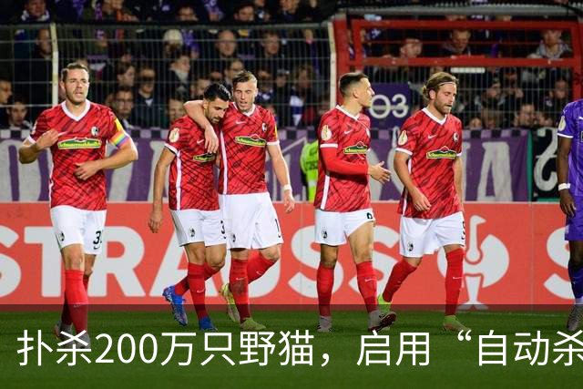 扑杀200万只野猫，启用“自动杀猫机”，对家猫“宵禁”……澳大利亚为什么不肯放过野生“哈基米”？