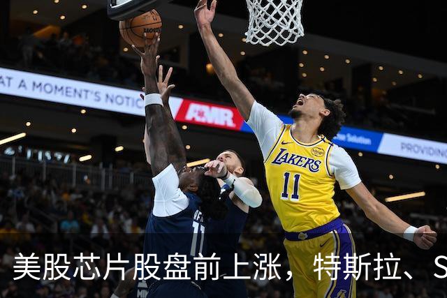 美股芯片股盘前上涨，特斯拉、SK海力士涨超2%，中概股苏轩堂药业大跌超99%