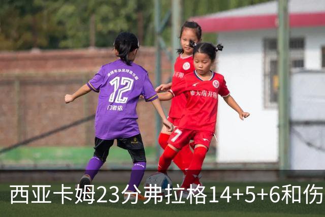 西亚卡姆23分弗拉格14+5+6&伤退 独行侠轻取步行者
