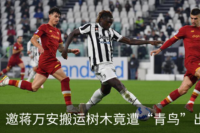 邀蒋万安搬运树木竟遭“青鸟”出征，清洁队长：我好内疚、很难过
