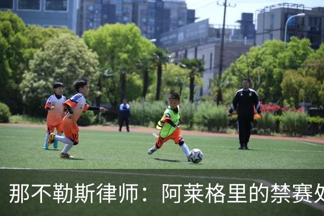 那不勒斯律师：阿莱格里的禁赛处罚太严重，若减刑可赶上对阵尤文