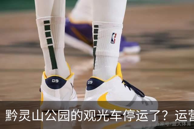 黔灵山公园的观光车停运了？运营公司回应