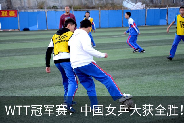 WTT冠军赛：中国女乒大获全胜！16强占6个席位，陈幸同剃对手光头